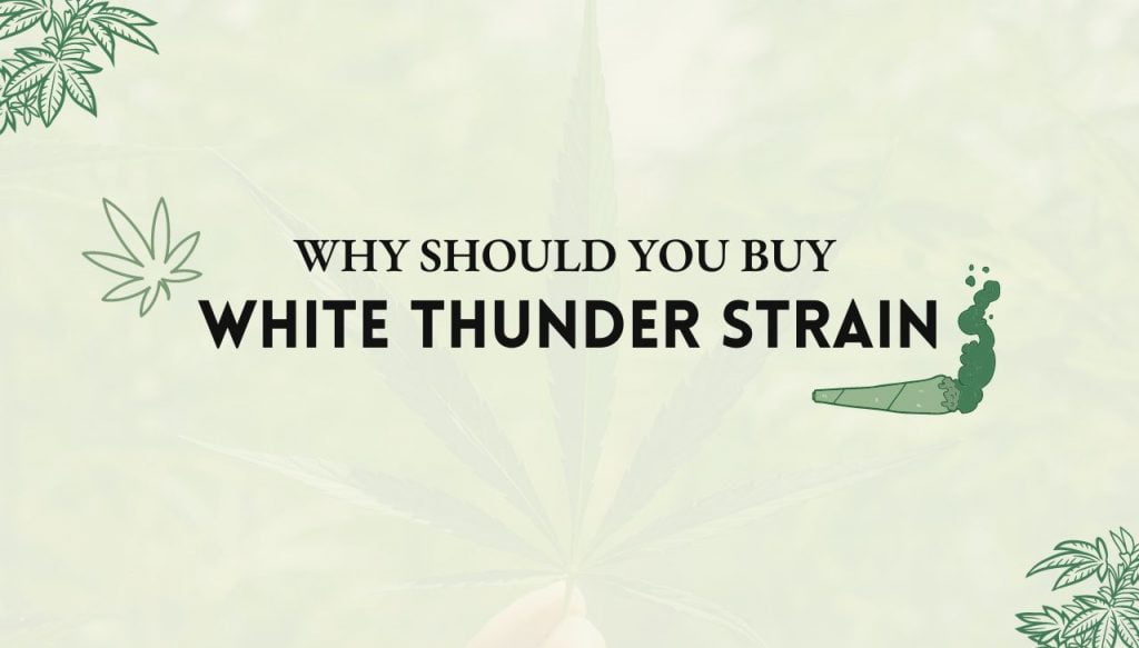 White Thunder Strain