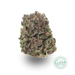 Insane OG Strain