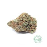 lemon sour diesel strain