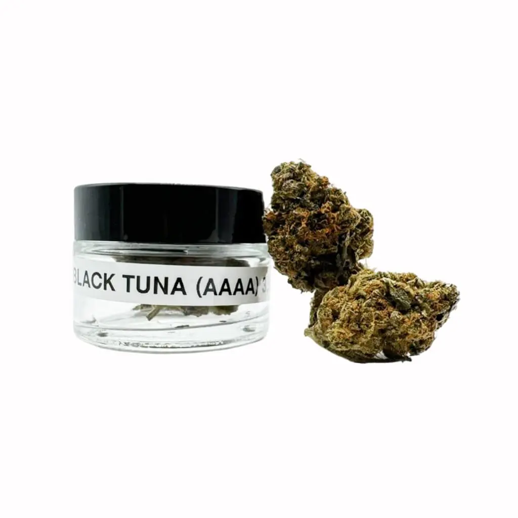 Black Tuna (AAAA) 3.5gm 3-v2 Black Tuna (AAAA) 3.5gm - Image 3