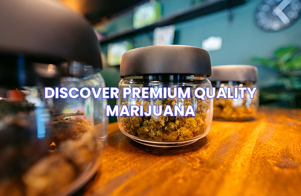 Discover Premium Quality Marijuana