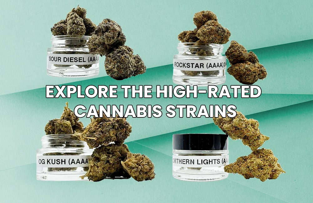High-Rated Cannabis Strains