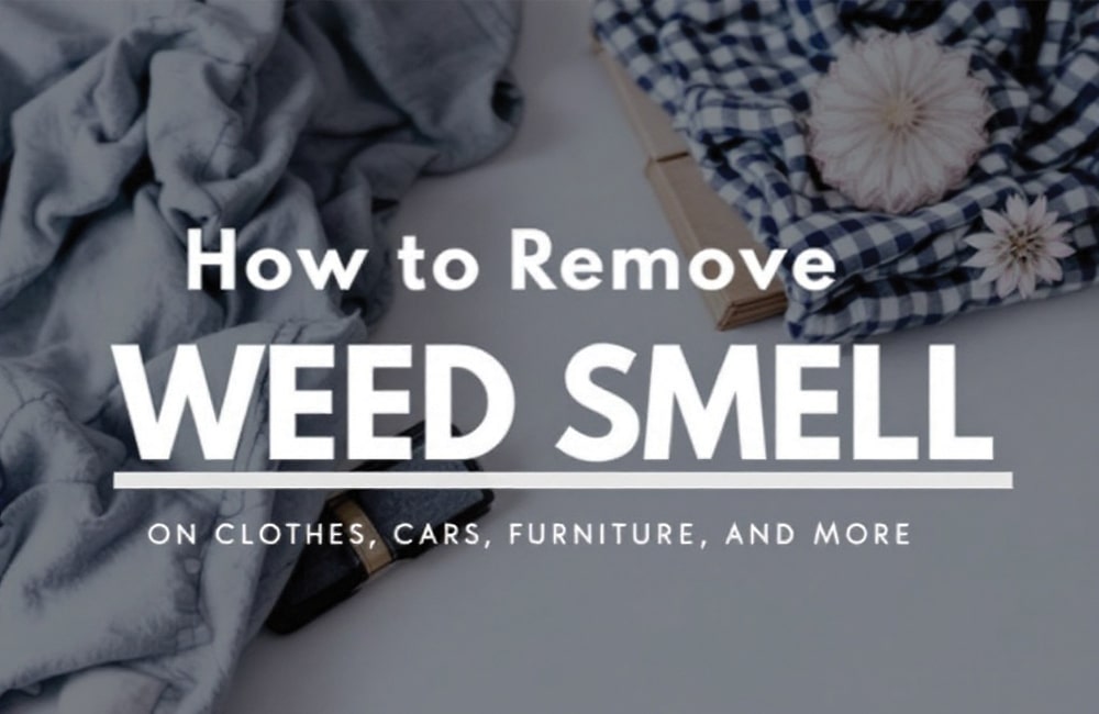 Remove Weed Smell