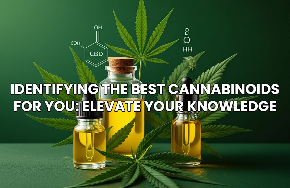 Identifying the Best Cannabinoids for You: Elevate Your Knowledge 1 Identifying the Best Cannabinoids