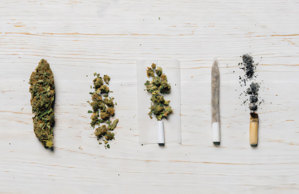 THC degradation