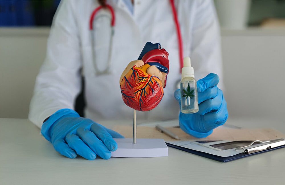 Discover THC's Effects on Heart, Lungs & Exercise 1 THC's Effects