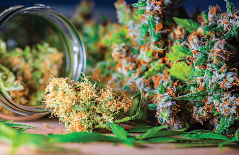 Cannabis Storage