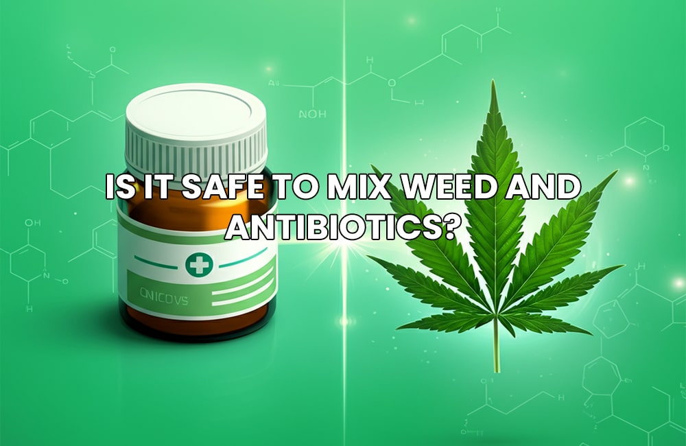 Weed and Antibiotics