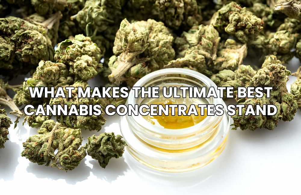 Best Cannabis Concentrates