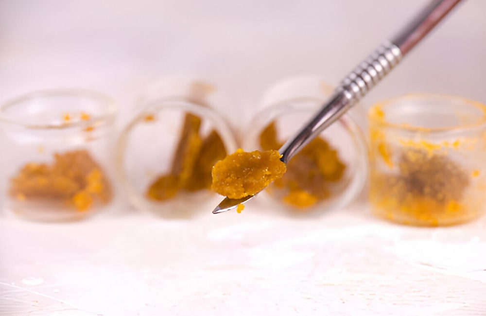 Cannabis Concentrates and Extracts Explained 1 Cannabis Concentrates and Extracts