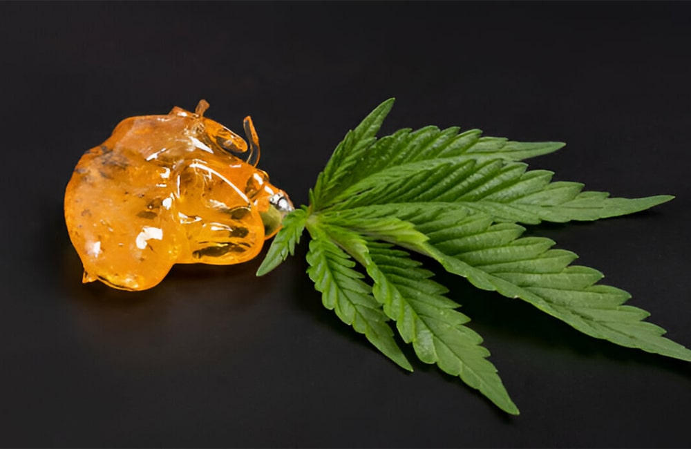 Cannabis Concentrates