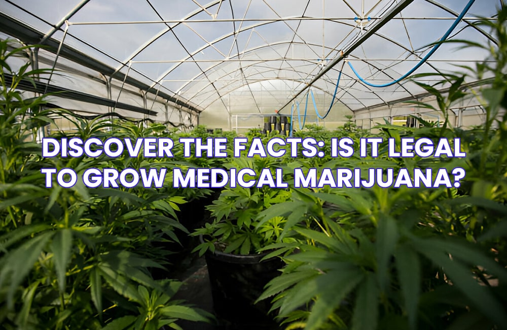 Grow Medical Marijuana