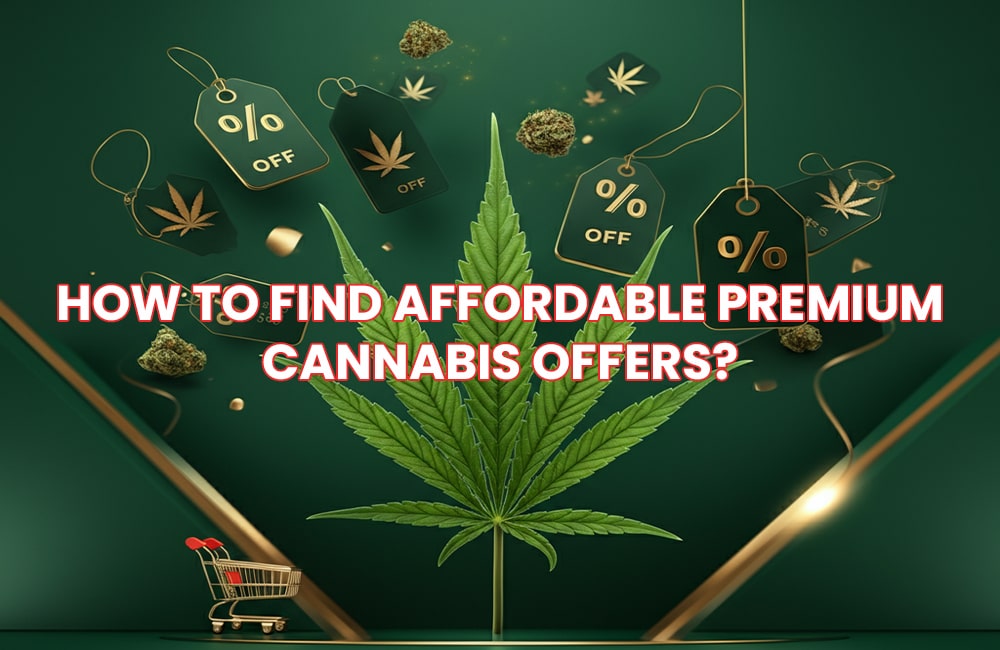 How to Find Affordable Premium Cannabis Offers
