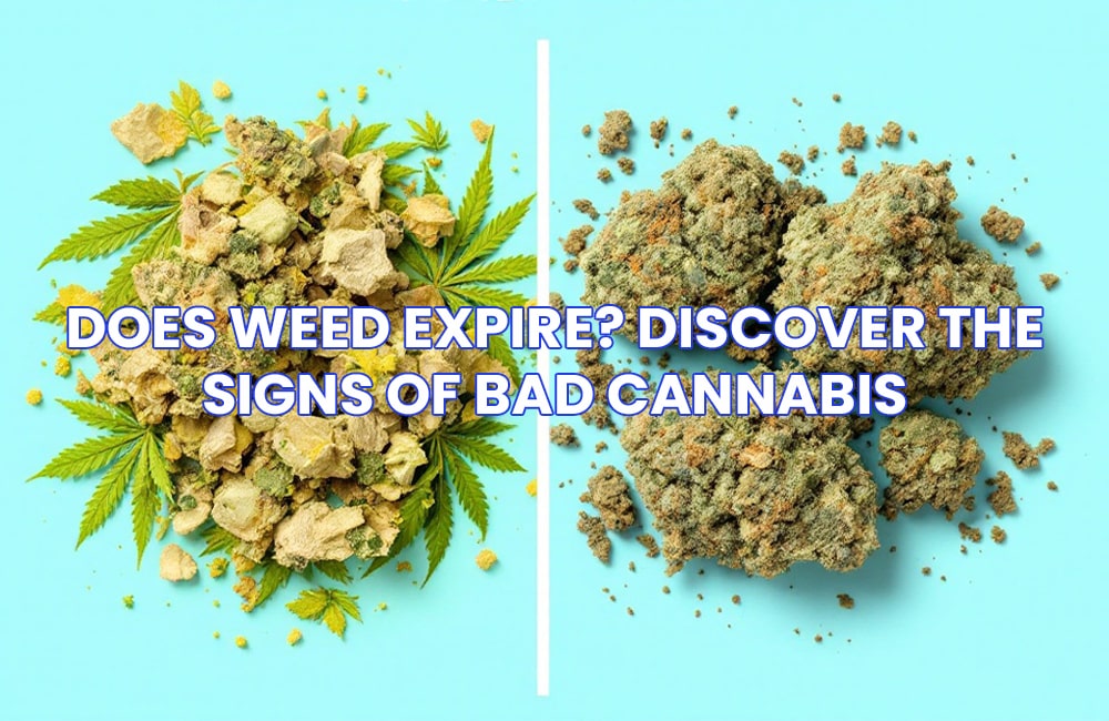 Weed Expire
