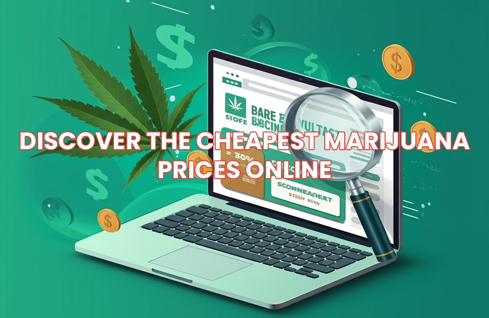 Discover the Cheapest Marijuana Prices Online