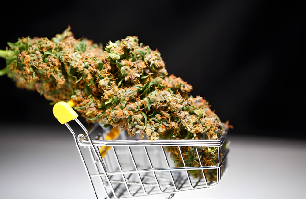 Buy Cannabis Flower Online