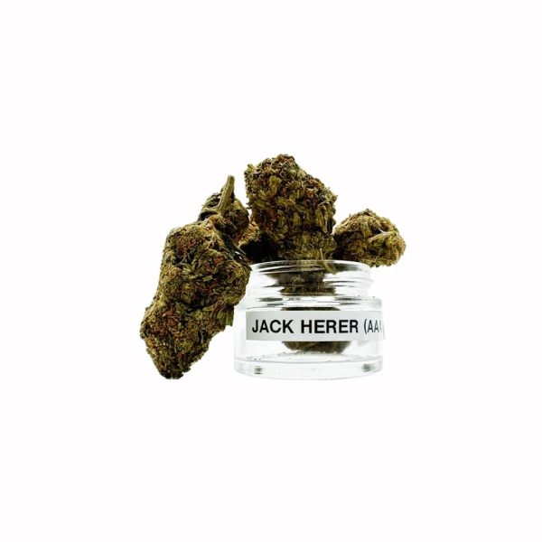 Jack Herer (AAAA) 3.5gm - Image 2