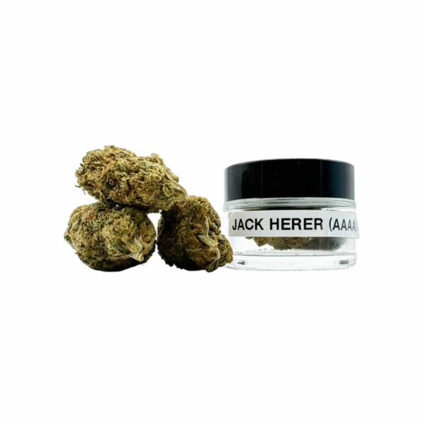 Jack Herer (AAAA) 3.5gm - Image 3